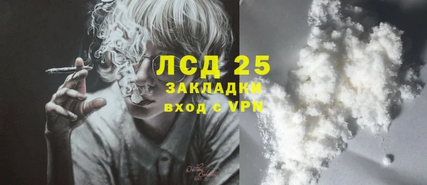 ГАЛЛЮЦИНОГЕННЫЕ ГРИБЫ Алексин