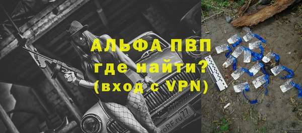 apvp Алзамай