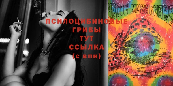 apvp Алзамай