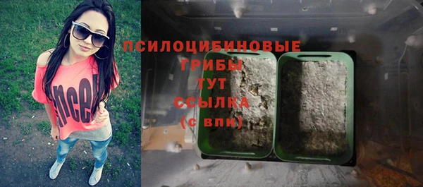ГАЛЛЮЦИНОГЕННЫЕ ГРИБЫ Алексин