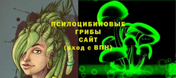 ГАЛЛЮЦИНОГЕННЫЕ ГРИБЫ Алексин
