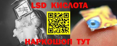 стаф Дубна