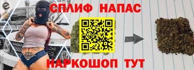 стаф Дубна