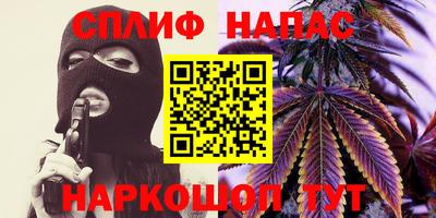 стаф Дубна