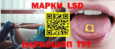 стаф Дубна