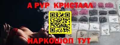 стаф Дубна
