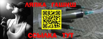 стаф Дубна