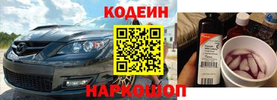 стаф Дубна