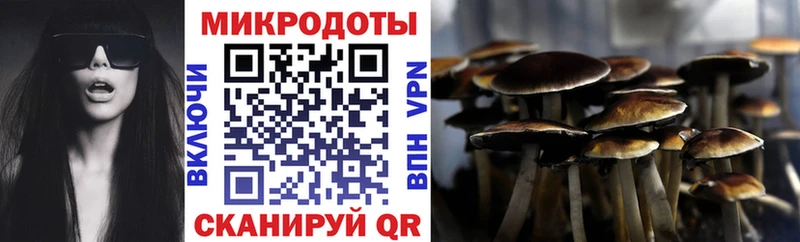 Псилоцибиновые грибы Psilocybine cubensis  Новоалтайск 